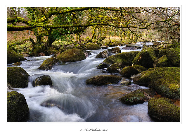 Dartmoor Stream