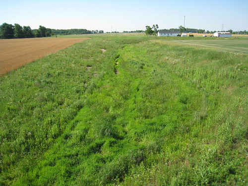 primarysuccession streamrestoration ecologicalsuccession selfformingstreams overwidechannel fluvialbiogeomorphic