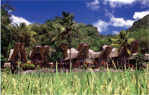 Tana Toraja