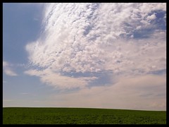 Summer fields and sky