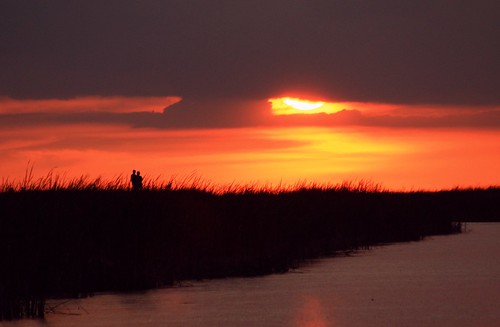 sunset cloudscape calm serene nature beauty natural inland hometown florida unitedstates usa floridaeverglades riverofgrass open dramatic composition winter2017 31217 southflorida broward coralspringsflorida outdoor sky horizon colorful wintersunset dusk smooth water landscapephotography riverscapephotography cloudscapephotography artisticsunsetphotography expansivespace bigsky grass peaceful litup drama sunstream couple silhouette sunball loverslane flickrdiamond dmslair diamondclassphotographer