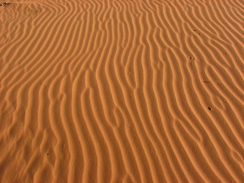 Sand Dunes 061 | by Chandler West