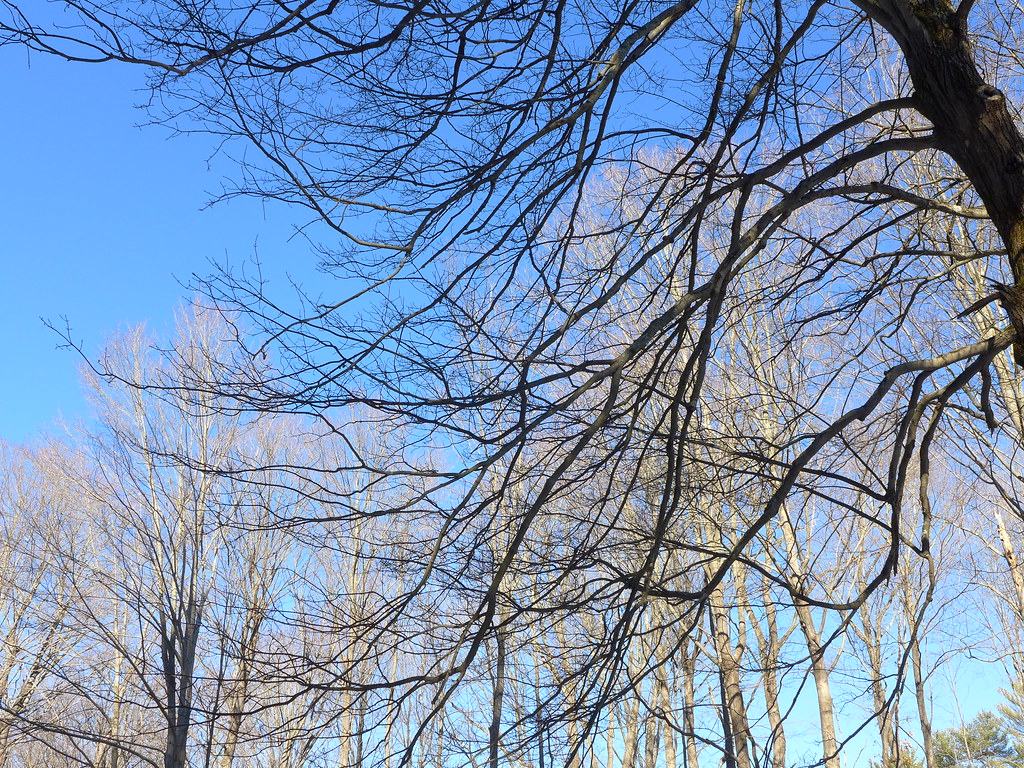 Old Telephone Line, near 35th Annual Cycle-Smart Northampton Cyclocross