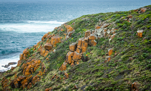 landscape plant rock surf water waves westernaustralia canoneos7d 28300mm