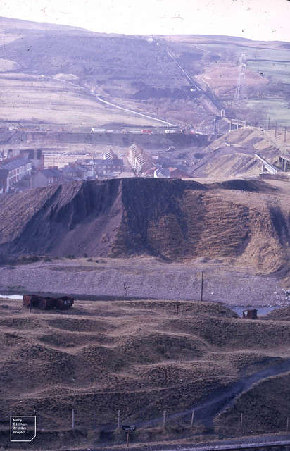 Aberfan coal tip after levelling  4-2-1971  Grazed tip succession
