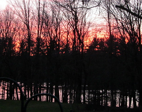 pink sunset putnamcounty treesilhouettes december2012 westbranchreservoir nycreservoir