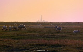 Flickr photo: Lighthouse Westerhever - Sunset