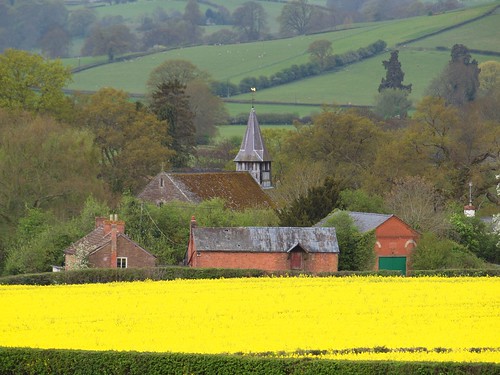 morning flowers trees england buildings spring britain churches villages april fields goldenvalley herefordshire steeples canola valleys brickbuildings stbartholomewschurch stonebuildings welshborders vowchurch churchofstbartholomew rapeseedoilplants