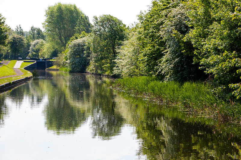 Hawthorn flowering, Birmingham Canal