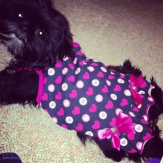 Auntie Mel got her a cute dress. It's a little big on her … | Flickr