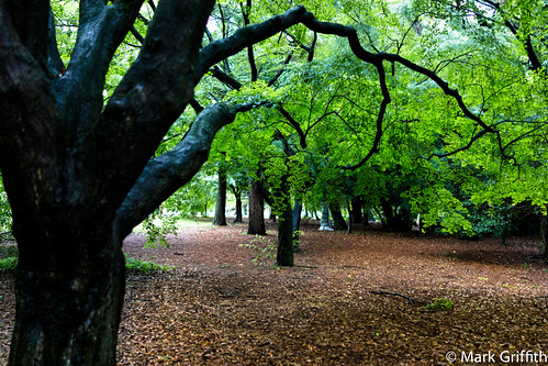 Gnarled and Stretched
