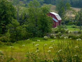 Barn Across The Field
