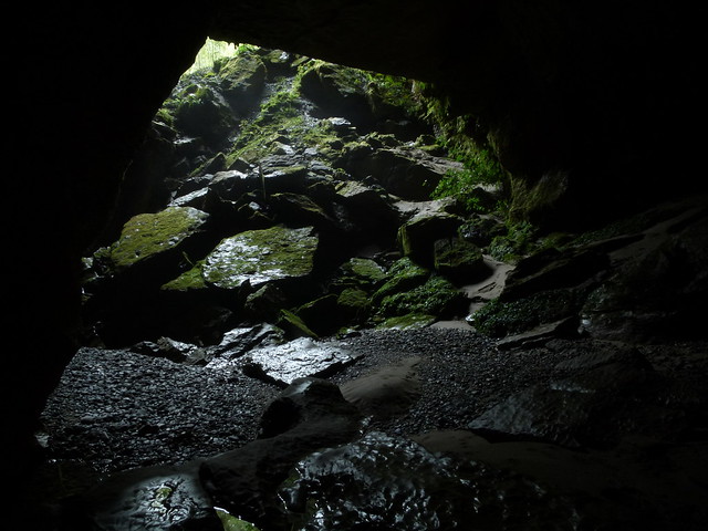 Taurus Major Cave, Cave Creek, Punakaiki