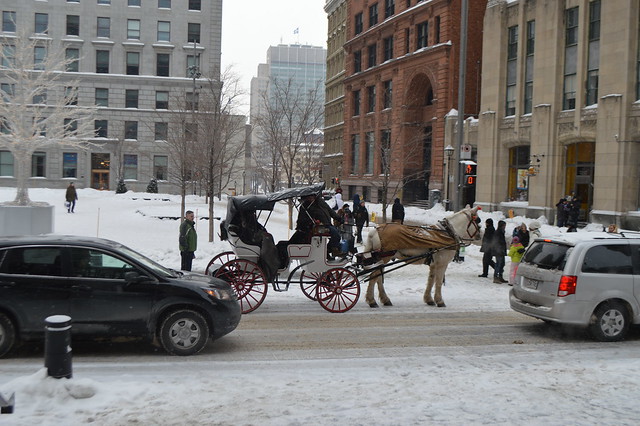 Horse-drawn carriage waits outside Basilica
