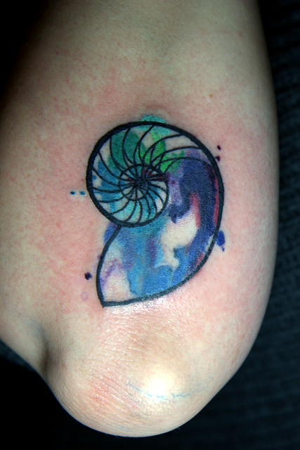 watercolor nautilus shell tattoo