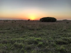 Sunset, Goliad County, Texas