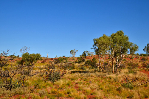 landscape australia outback westernaustralia australianoutback outbackaustralia 17south canningstockroute gibsondesert littlesandydesert pathslesstravelled