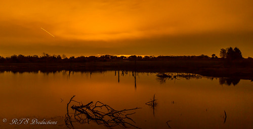 wood longexposure morning november autumn trees sky nature water clouds canon landscape outdoors morninglight pond cloudy overcast 7d orangesky cloudysky buschwildlife canon7d canon1585mmlens