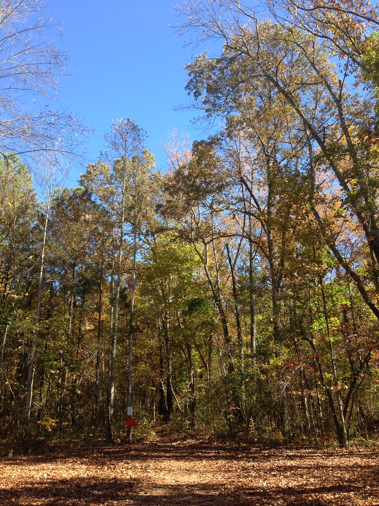 Bostick Trail, near The Devils Race Track Backyard Ultra