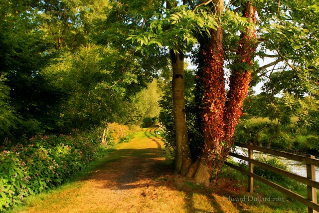 A path by the river.