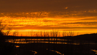 Sunrise from my deck - Julie J. Metz Wetlands