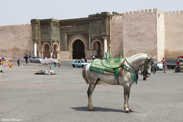 Paseo a caballo por Meknes