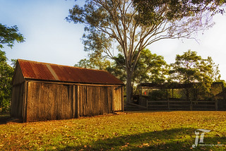 Old Country Shed