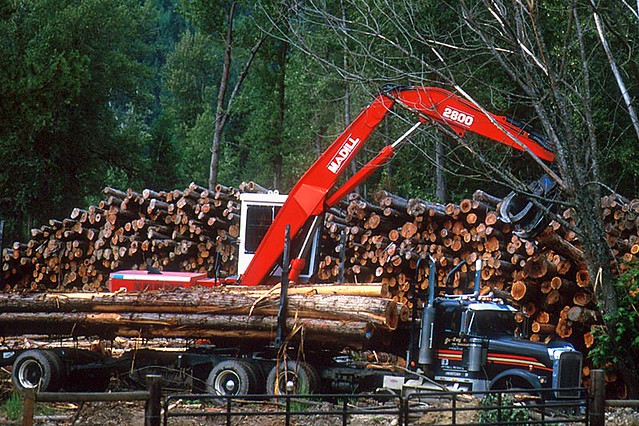 Logging is the mainstay of the economy in Barriere, North Thompson Valley, Thompson Okanagan, British Columbia, Canada