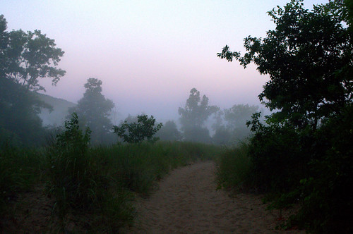 morning travel mist fog sunrise roadtrip lakemichigan warrendunesstatepark