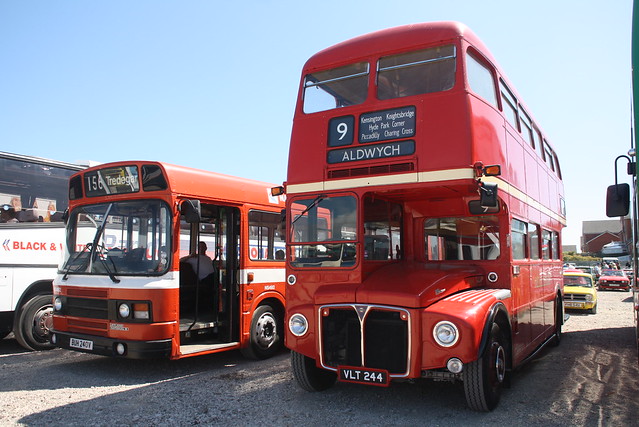 Two Classic Buses    VLT244 BUH240V