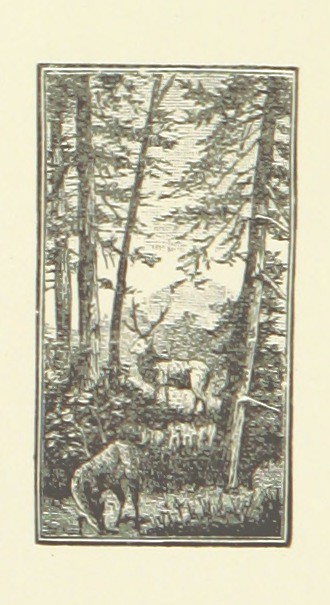 Image taken from page 270 of 'At All Cost; or, a Wilful Wo… | Flickr