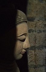 Enlighten Buddha