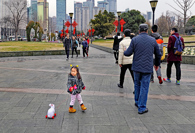 China. February 2017. Shanghai. Little girl pulling her white rabbit.