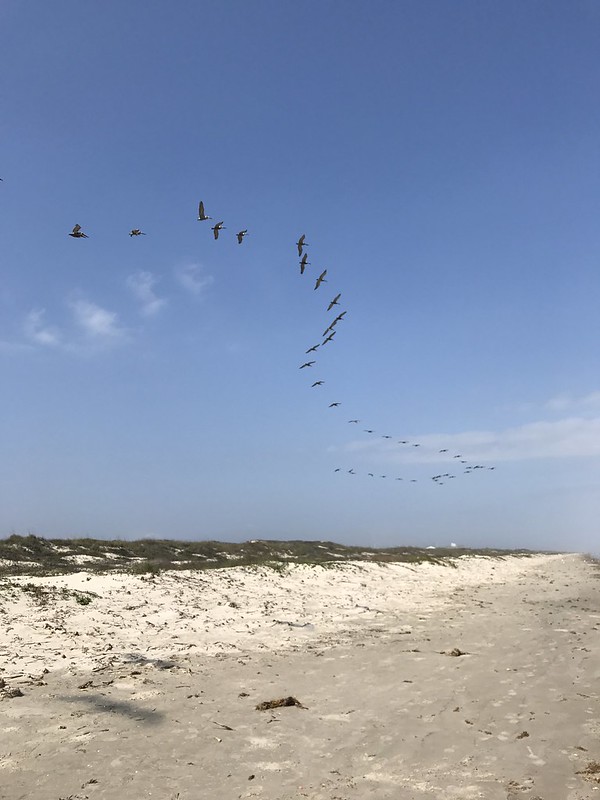 Padre Island National Seashore