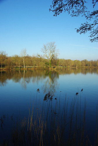 030 L'etang de la Clarette by Steff One, arbre etang seineetmarne grezsurloing