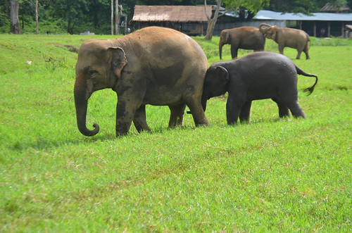 CMS_3472 | by Loop Abroad Thailand