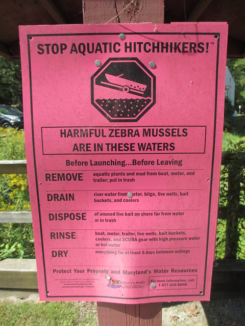 Stop Aquatic Hitchhikers! Sign, Susquehanna State Park, Maryland
