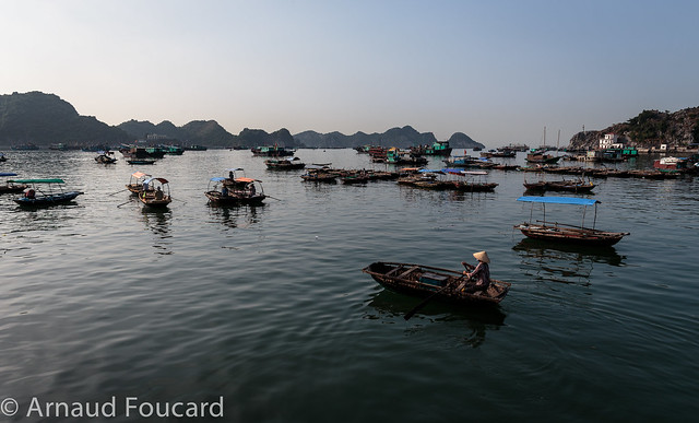 Early morning in Cat Ba Island fishing port, Vietnam
