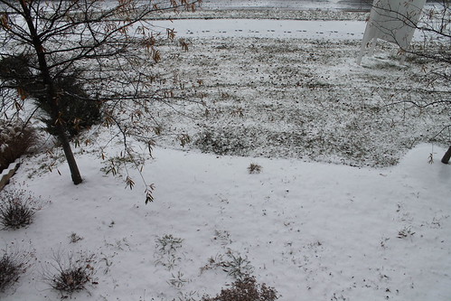 04.Snow.Herndon.VA.8December2013 by Elvert Barnes, SNOW on Sunrise Valley Drive near Mansarde Avenue in Herndon, Virginia on Sunday morning, 8 December