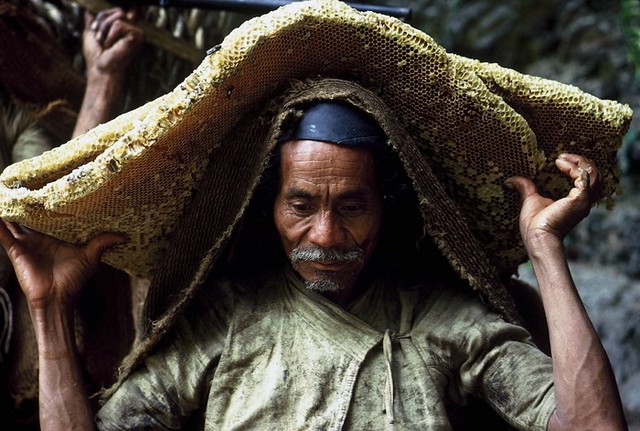 Honey Hunters of Nepal by Eric Valli (6)