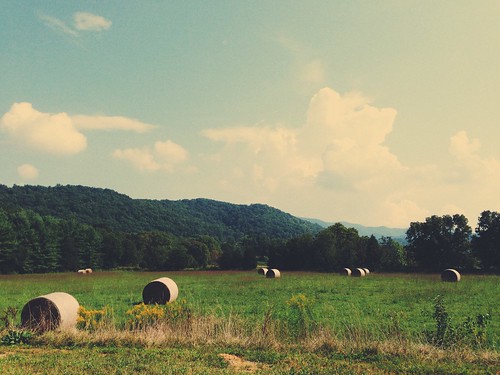 sky nature field rolls hay
