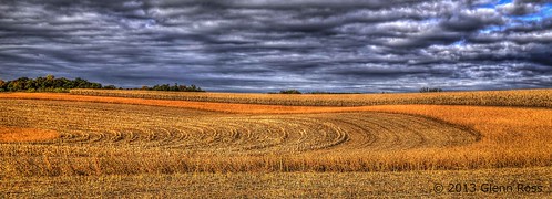 pennsylvania wheat harvest stormy pa manheim