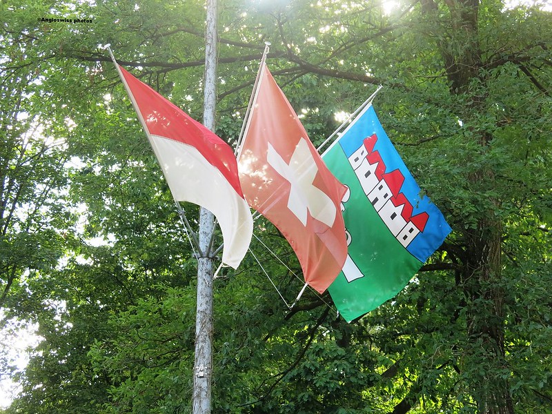 Kanton Solothurn, Switzerland, Feldbrunnen flags