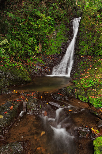 puertorico ciales jayuya