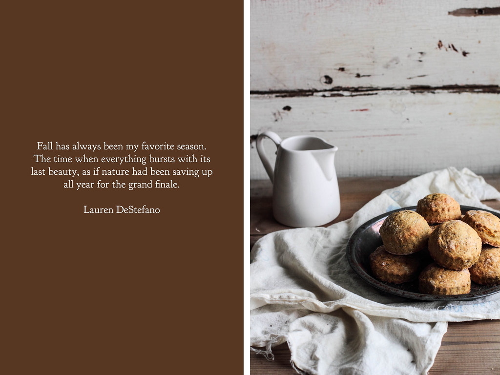 Butternut Squash Biscuits Recipe Blog Facebook Kristin Rosenau Flickr