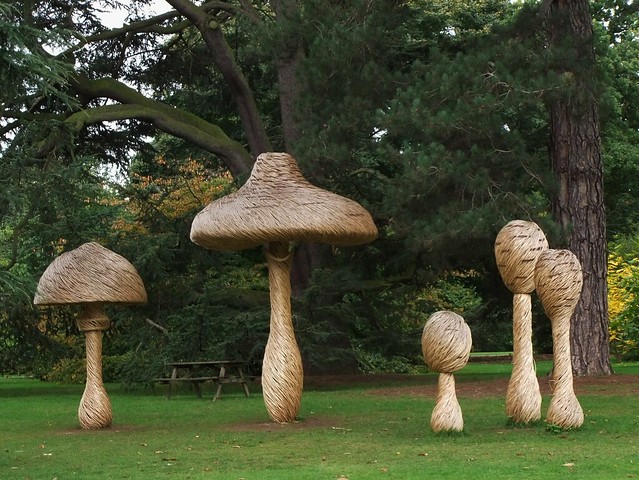 Tom Hare’s Giant Fairy Ring Fungi Sculptures at KEW @ 19 October 2013 – Field Mushroom (1 of 3)