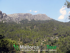 MallorcaCulTour-en-Reserva-Puig-Galatzo-2