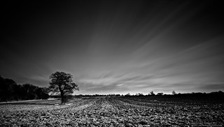 Tree In Ploughed Field | by Richard Walker Photography