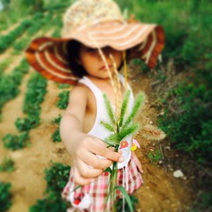 My cousin's daughter, she likes rabbits a lot. #bristlegrass #?