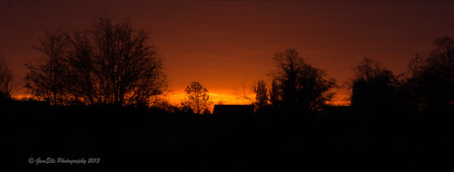 trees sunset sky orange silhouette sunrise nikon sigma 50500 gemelle goole eastyorkshire d600 airmyn gemelle1 gemellephotography
